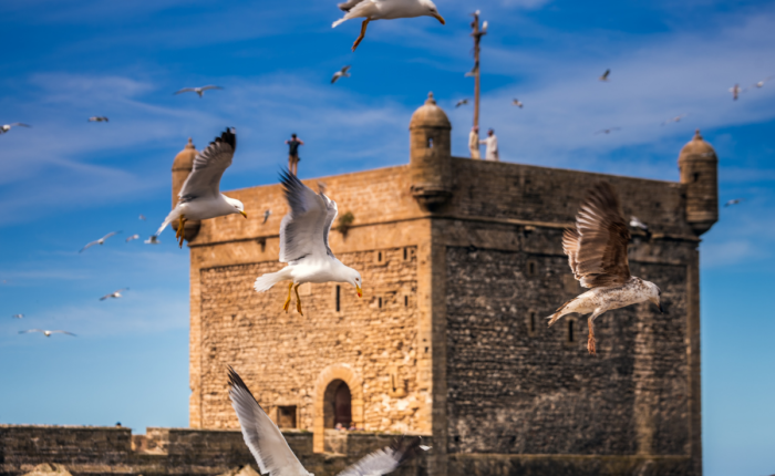 5 days tour from Rabat to Marrakech