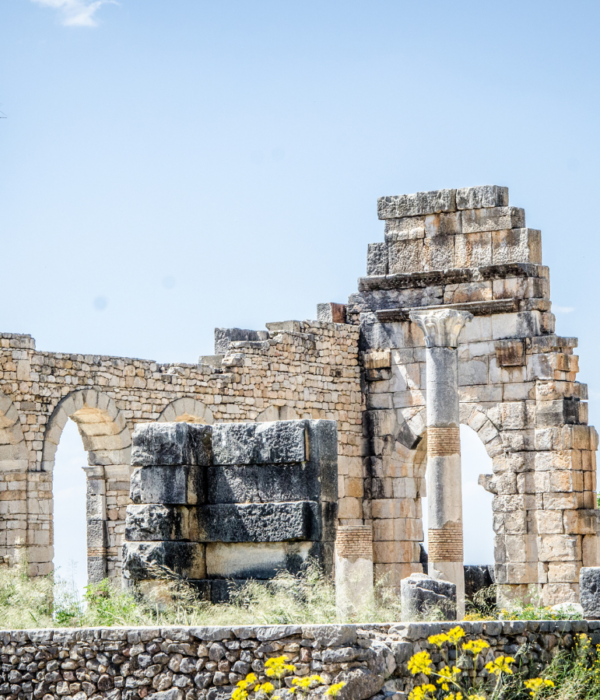 travel morocco, trip to Volubilis Ruins