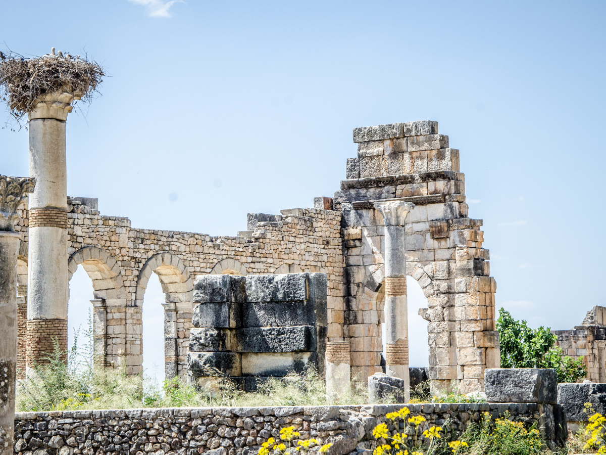 travel morocco, trip to Volubilis Ruins