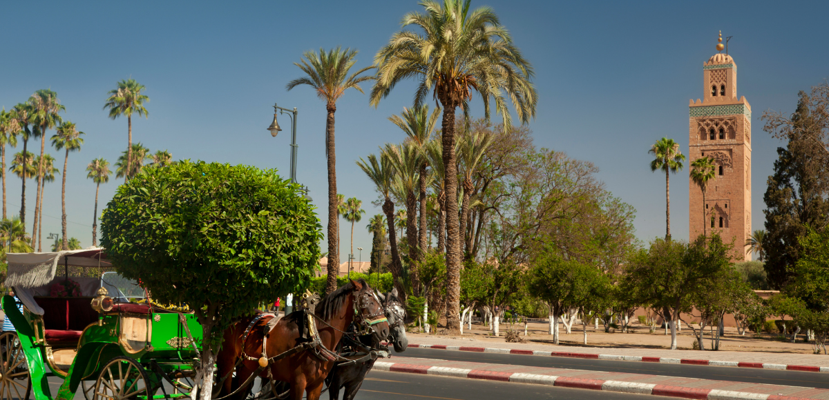 travel morocco trips