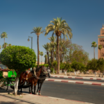 travel morocco trips