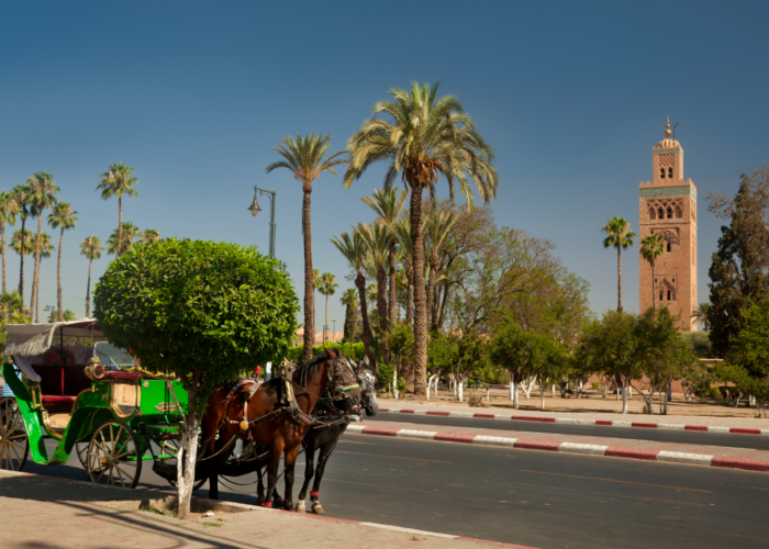 travel morocco trips