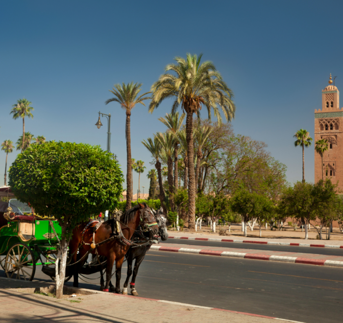 travel morocco trips