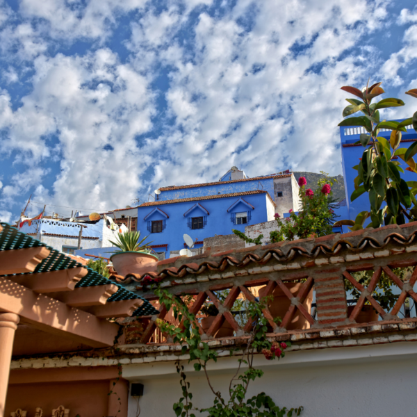 12 days tour from Tangier