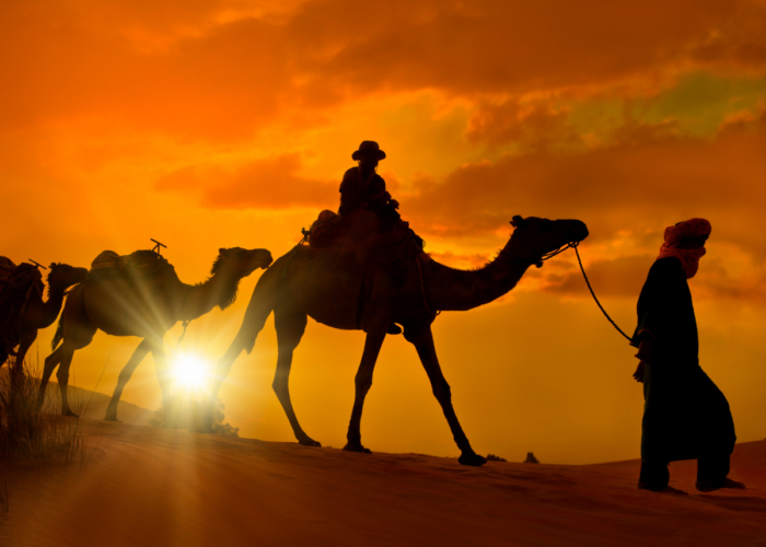 travel morocco trips